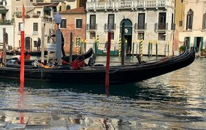 26 octobre 2025 : Half Marathon de Venise : So chic