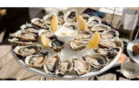 Dégustation d'huitres